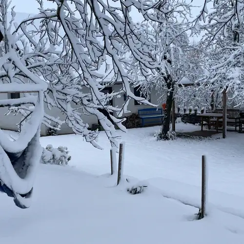 Bók Tanya és Vendégház Hidegkút 011 kép
