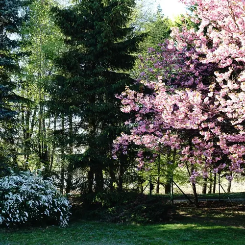 Widok w stronę jeziora