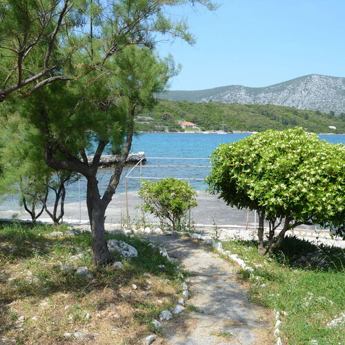 Apartman Račišće - CDS572  2