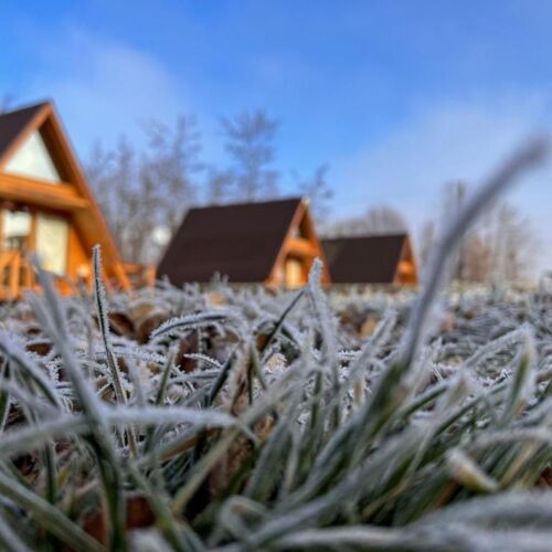 Căsuțe în Copac & Case A frame Avrig