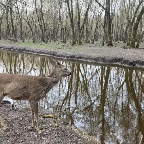 Kisdió Vendégház Dég 006 kép