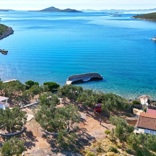 House Bellatrix Tkon