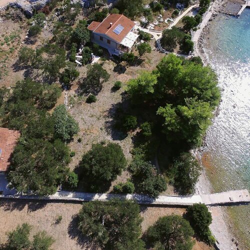 House Olive Tree Tkon  2