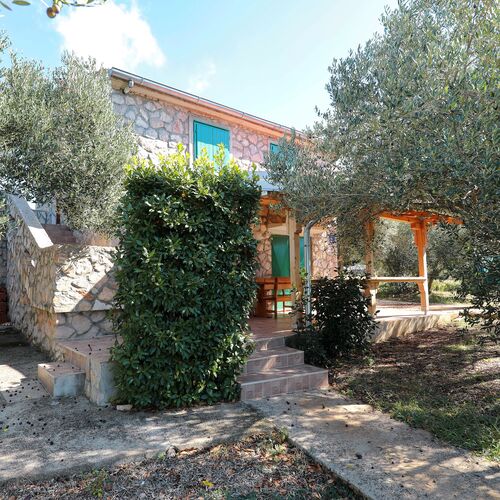 House Angelina Tkon  3