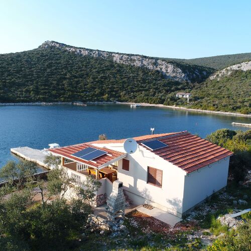House Sea Gull Tkon