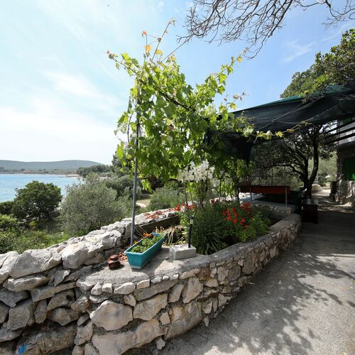 House Tvrdica Tkon  3