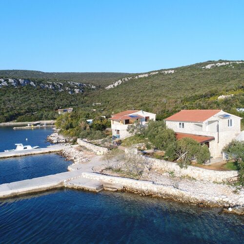 House Dolphin Tkon  3