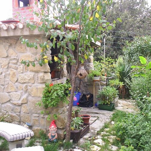 Apartmanok Parkolóhellyel Lopar, Rab - 12327 Lopar  3