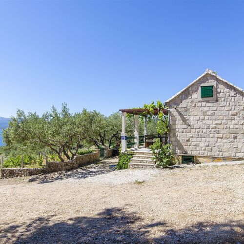 House Ivan Bol  4