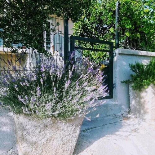 Apartmanok Parkolóhellyel Pakostane, Biograd - 18979 Pakoštane  4