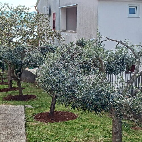 Apartmanok A Tenger Mellett Malinska, Krk - 19264 Malinska  3