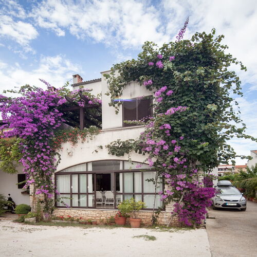 Apartments Sinisa Rovinj  3