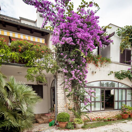 Apartments Sinisa Rovinj  4