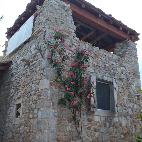 House Lavanda Trpanj  3