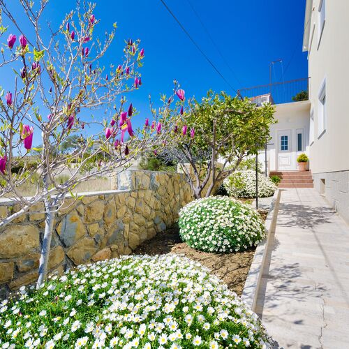 Apartment BRANKA Rab  4