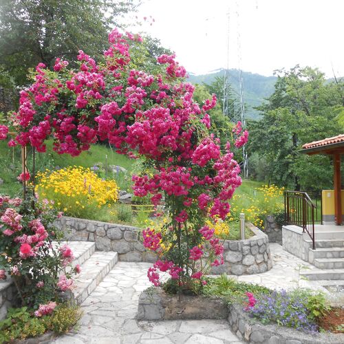 Apartments Vesna Moscenicka Draga