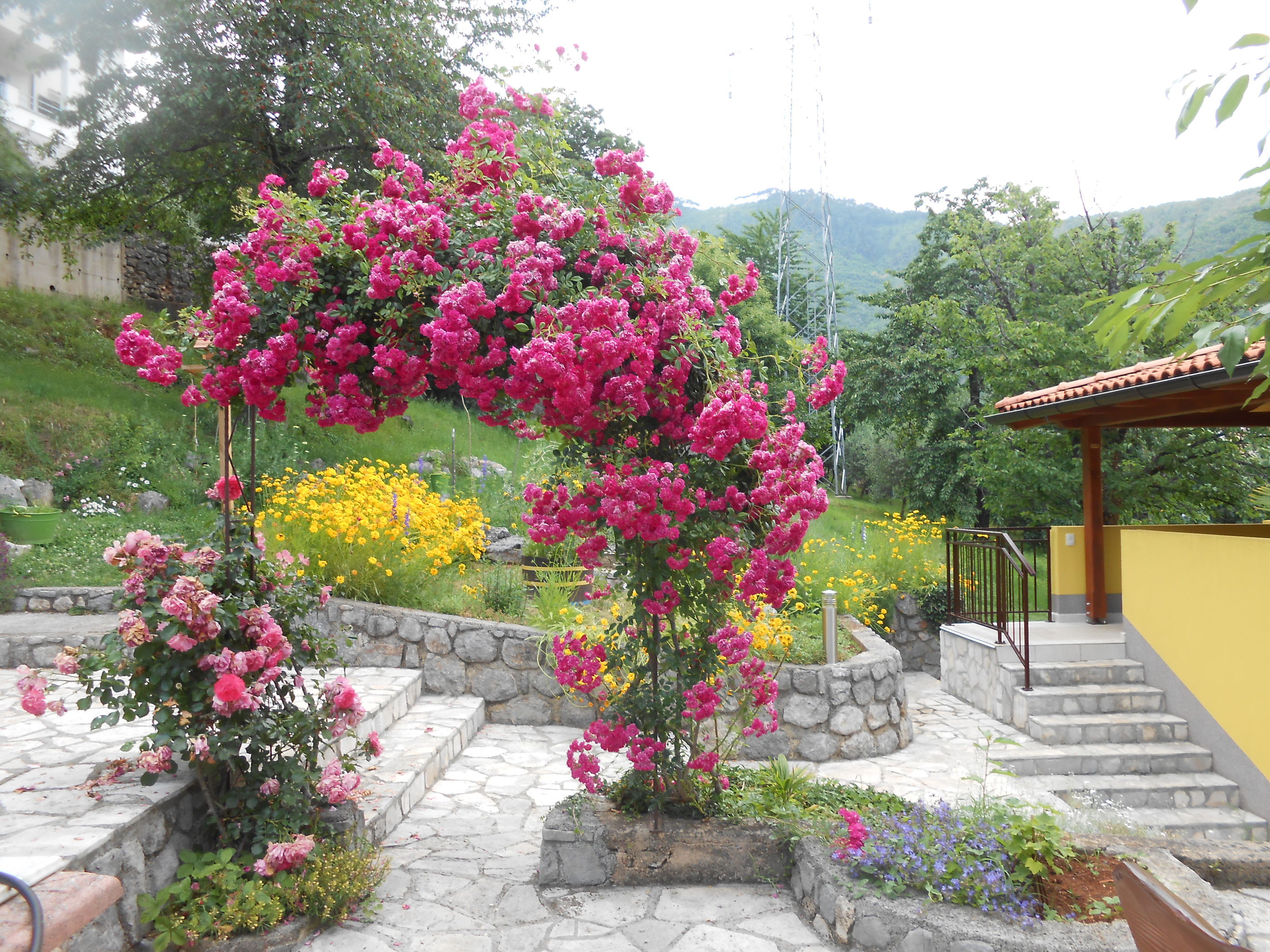 Apartments VESNA Moscenicka Draga