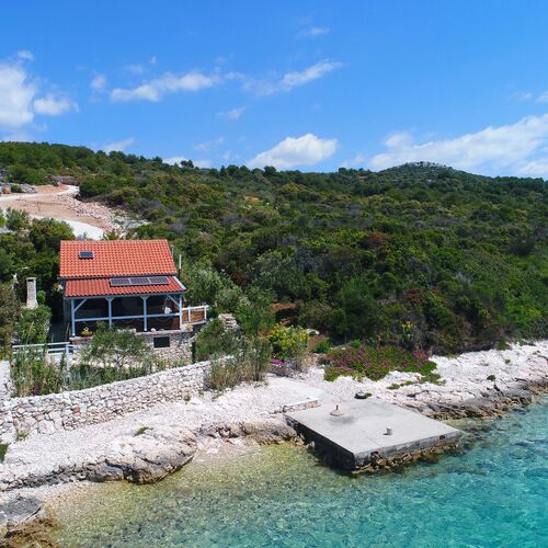 House Starfish Tkon  4
