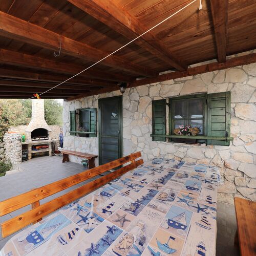 House Starfish Tkon  3