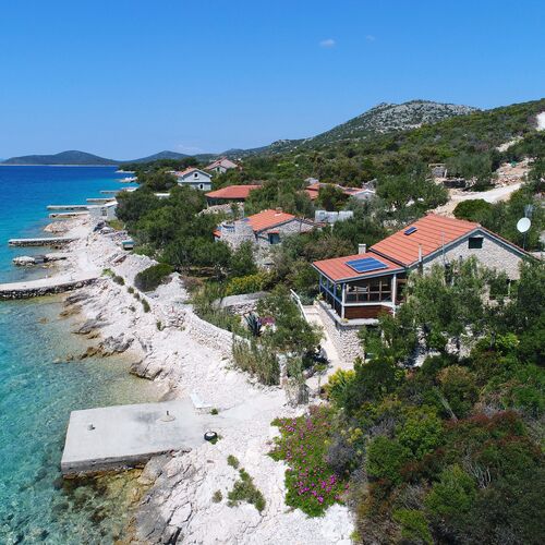 House Starfish Tkon  2