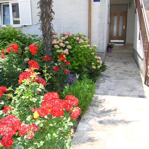 Apartment ZORA Krk  4