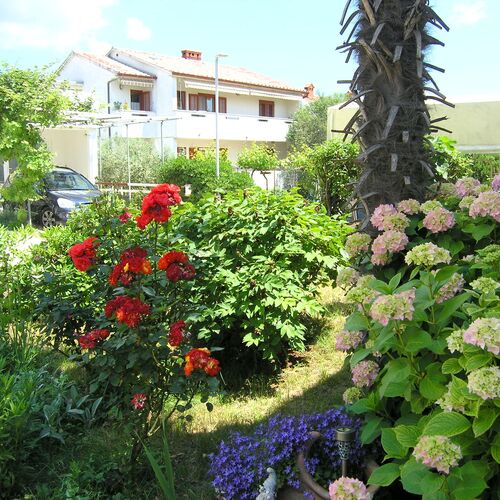 Apartment ZORA Krk  3