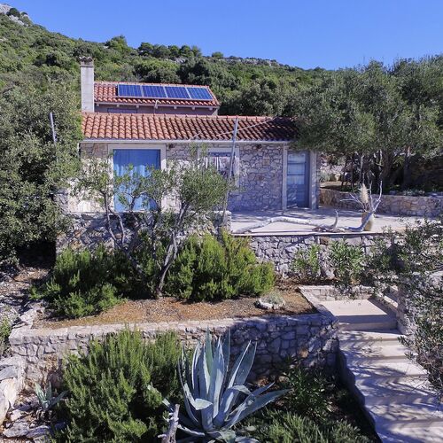 House Lemon Tree Tkon  2