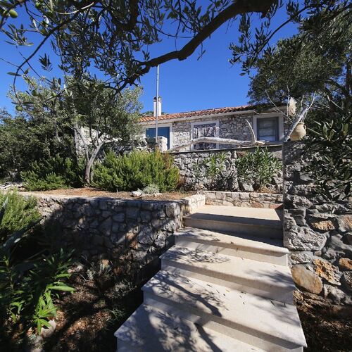 House Lemon Tree Tkon  4