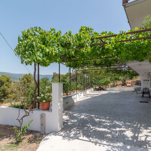 Apartments Nedjeljko Arbanija  4