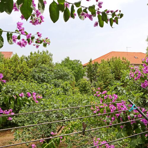 Apartment ADAM Bibinje  3