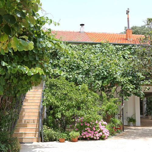 Apartment ADAM Bibinje  2