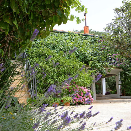 Apartment ADAM Bibinje  4