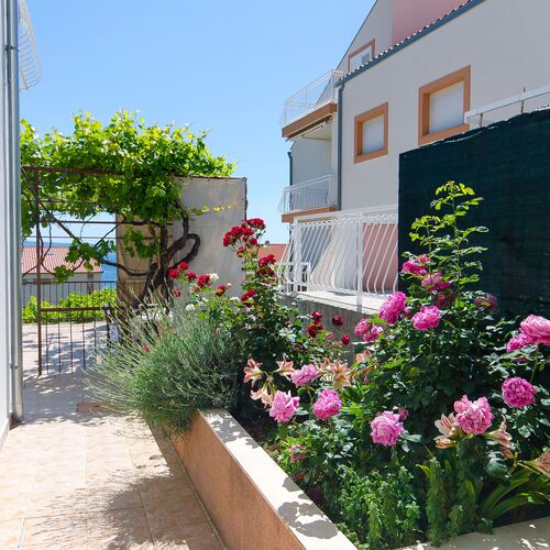 Apartment Marija Podstrana  3