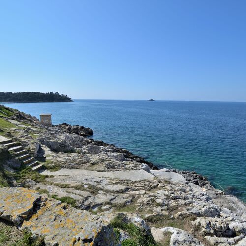 Apartment Cozy studio Rovinj  3