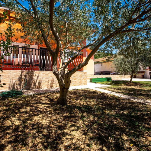 House Olive tree Mundanije  4