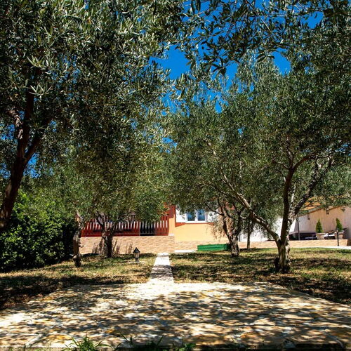 House Olive tree Mundanije  3