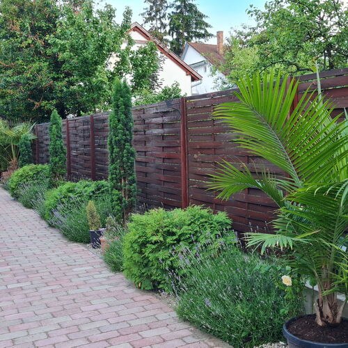 Villa Tropic Apartman Siófok  3
