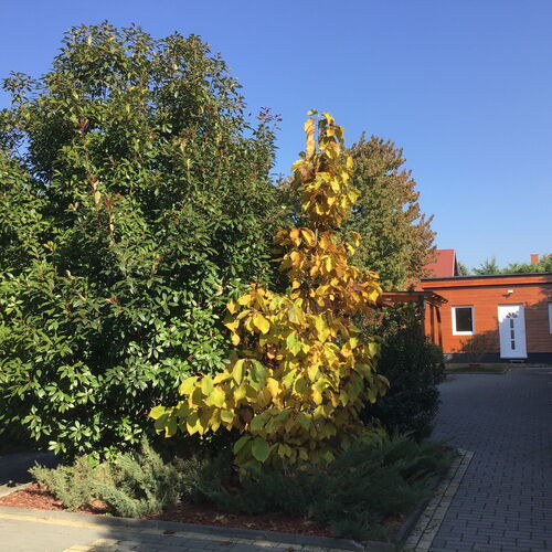Drávecz Apartman Balatonlelle  4