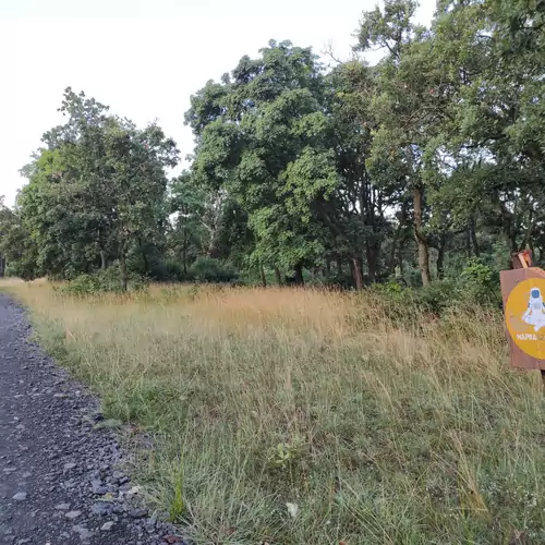 Napraszállás Vendégház Balatonakali 024 kép