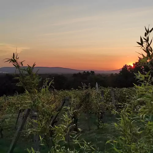 Napraszállás Vendégház Balatonakali 021 kép
