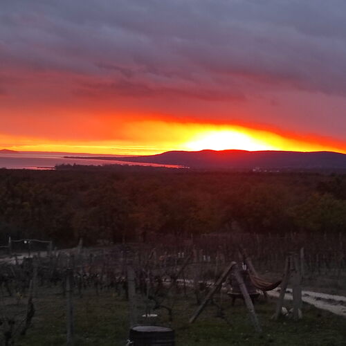 Napraszállás Vendégház Balatonakali  2
