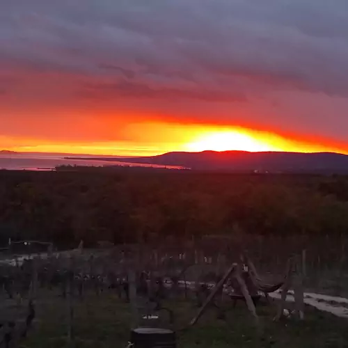 Napraszállás Vendégház Balatonakali 002 kép