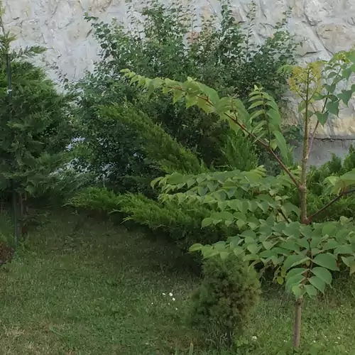 Home Apartman Nagyesztergár 015 kép