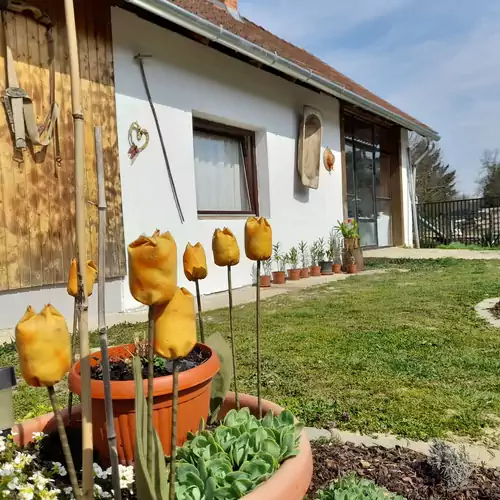 Őrségi Kastélydombi Kistücsök Vendégházak Hegyhátszentmárto 009 kép