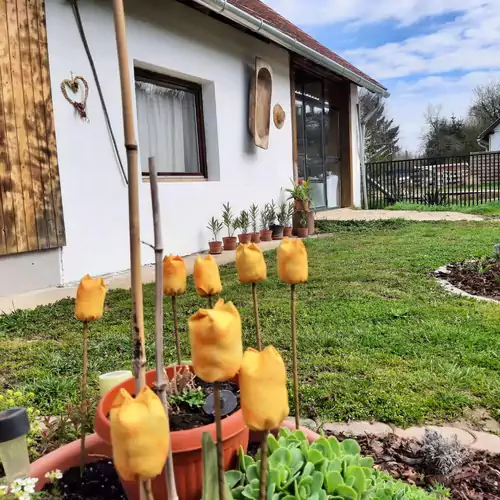 Őrségi Kastélydombi Kistücsök Vendégházak Hegyhátszentmárto 023 kép