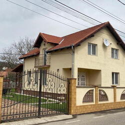 Casa Neluța Silvașu de Jos