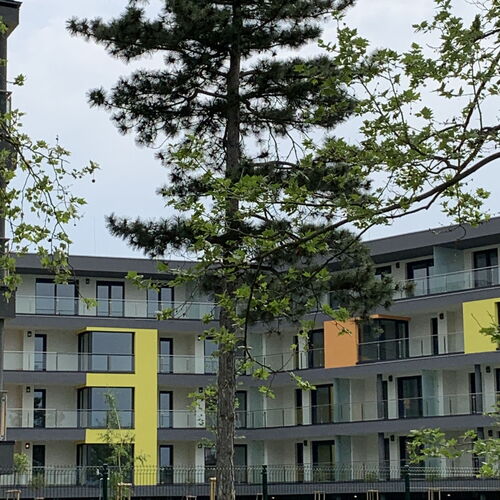 Casa Romana Apartmanok Siófok  4