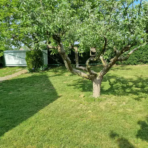 Tóthék Apartman Mozsgó 004 kép