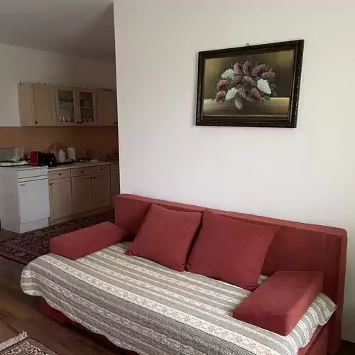 Janbor Apartman Vonyarcvashegy 007 kép