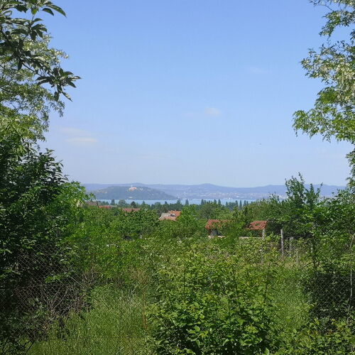 Fehér Apartmanház Zamárdi  2